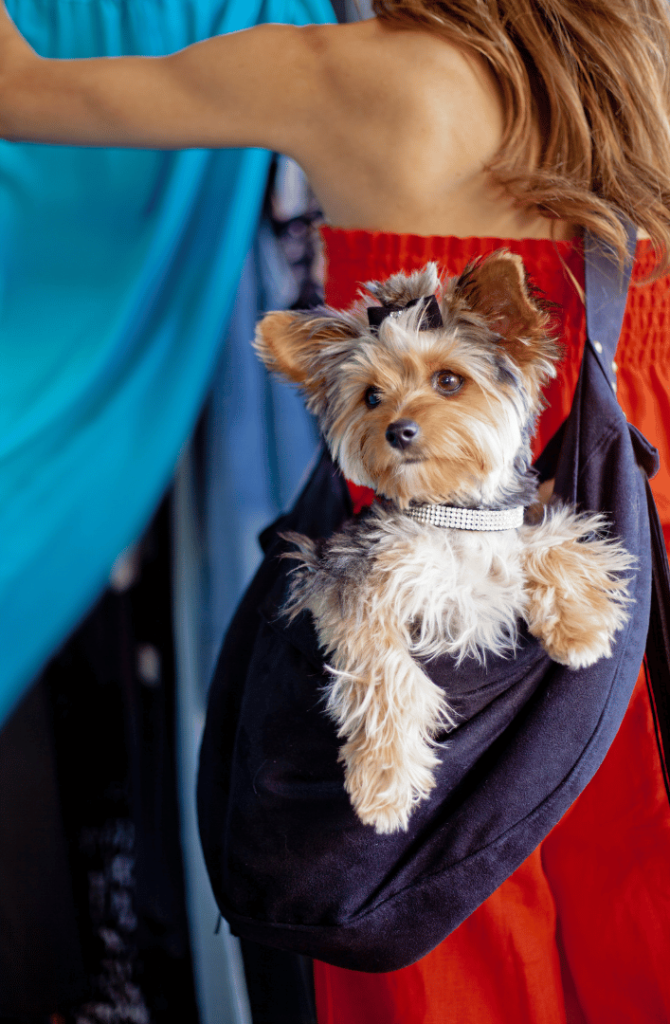 Sling carrier for small dogs 