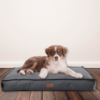 Doglorious Topmast Oxford Dog Cushion