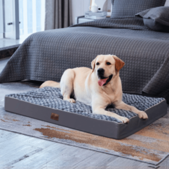 Doglorious boutique dog beds category